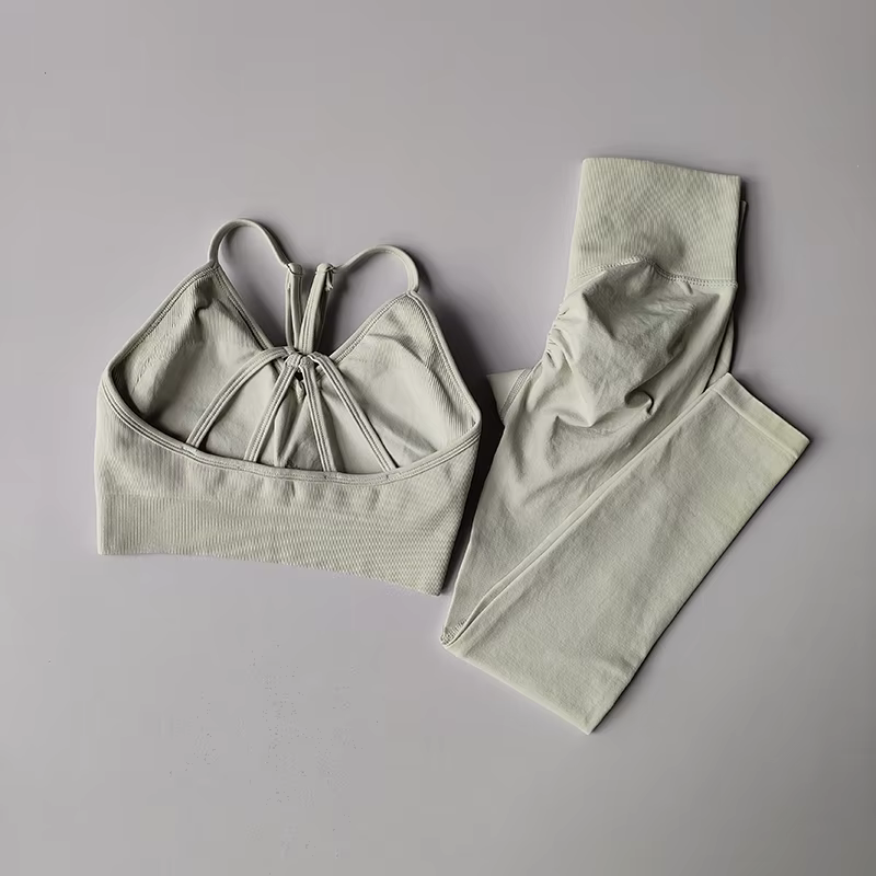 Soutien-gorge de sport sans couture pour femmes, 2 pièces, combinaison de Yoga, séchage rapide, leva