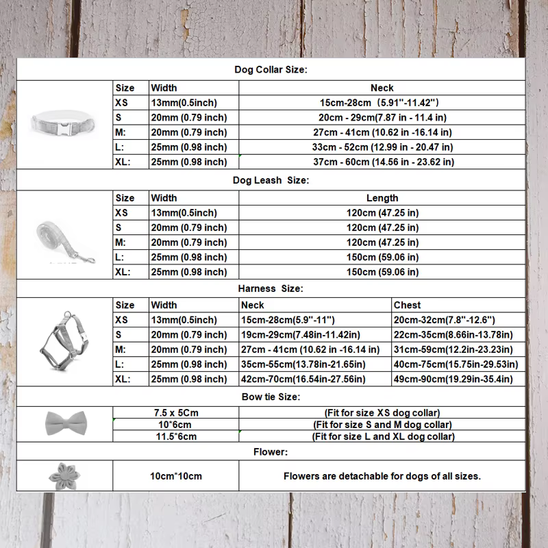 Accessoires pour animaux de compagnie : Ensemble collier, laisse et harnais en polyester soyeux de l