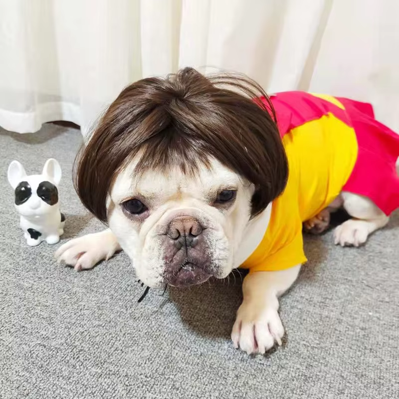 NONOR-Perruques pour animaux de compagnie, accessoires de cosplay, chapeau en élasthanne croisée, ol