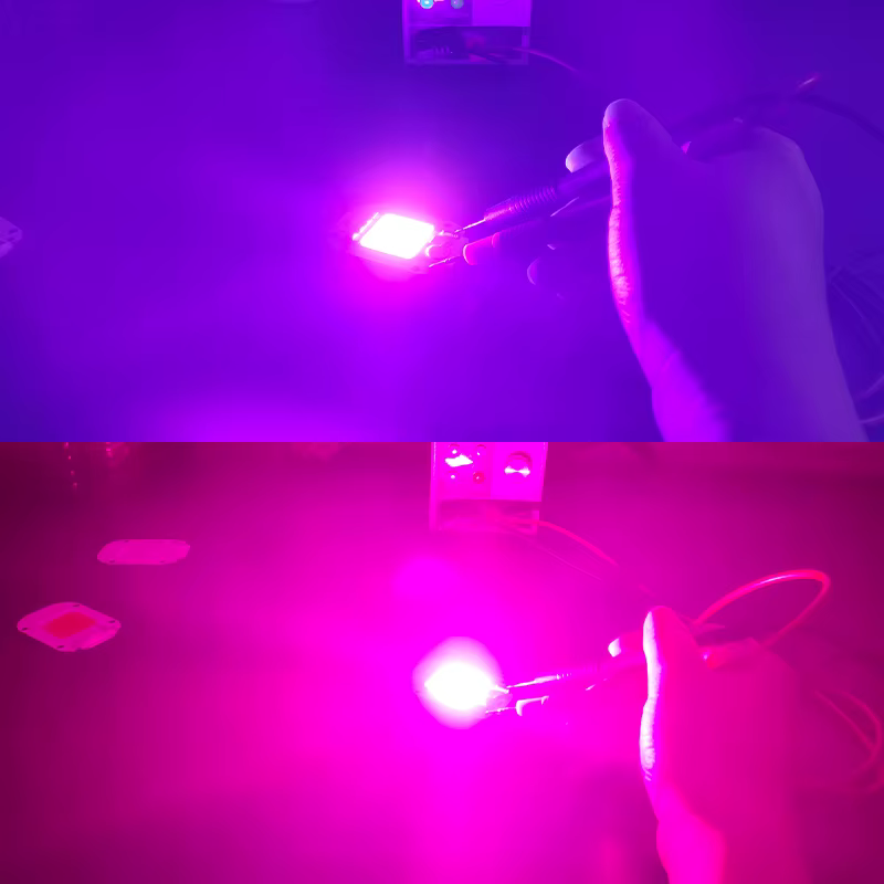 Puce LED COB 220V, Module 50W 30W 20W Natura, blanc froid et chaud, UV rose vert or bleu rouge pour 