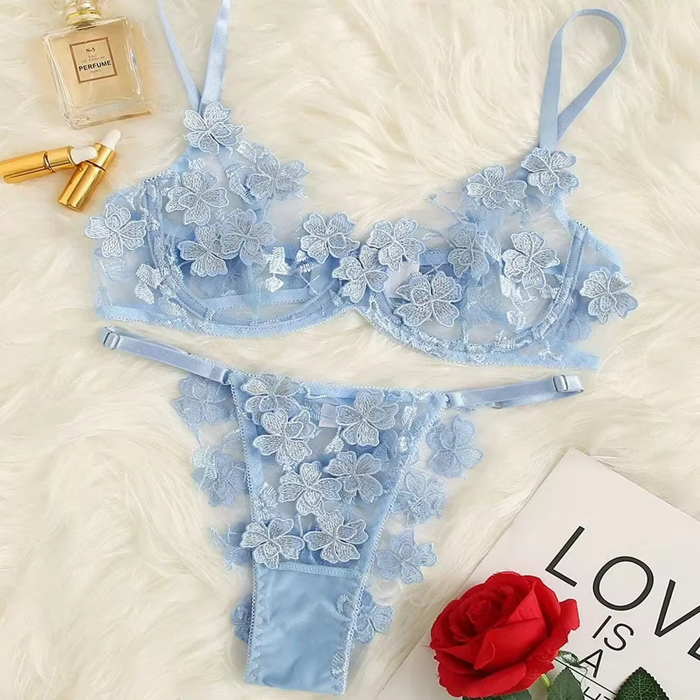 Toucheart-Ensemble de lingerie sexy transparente pour femme, soutien-gorge en dentelle brodée, appli