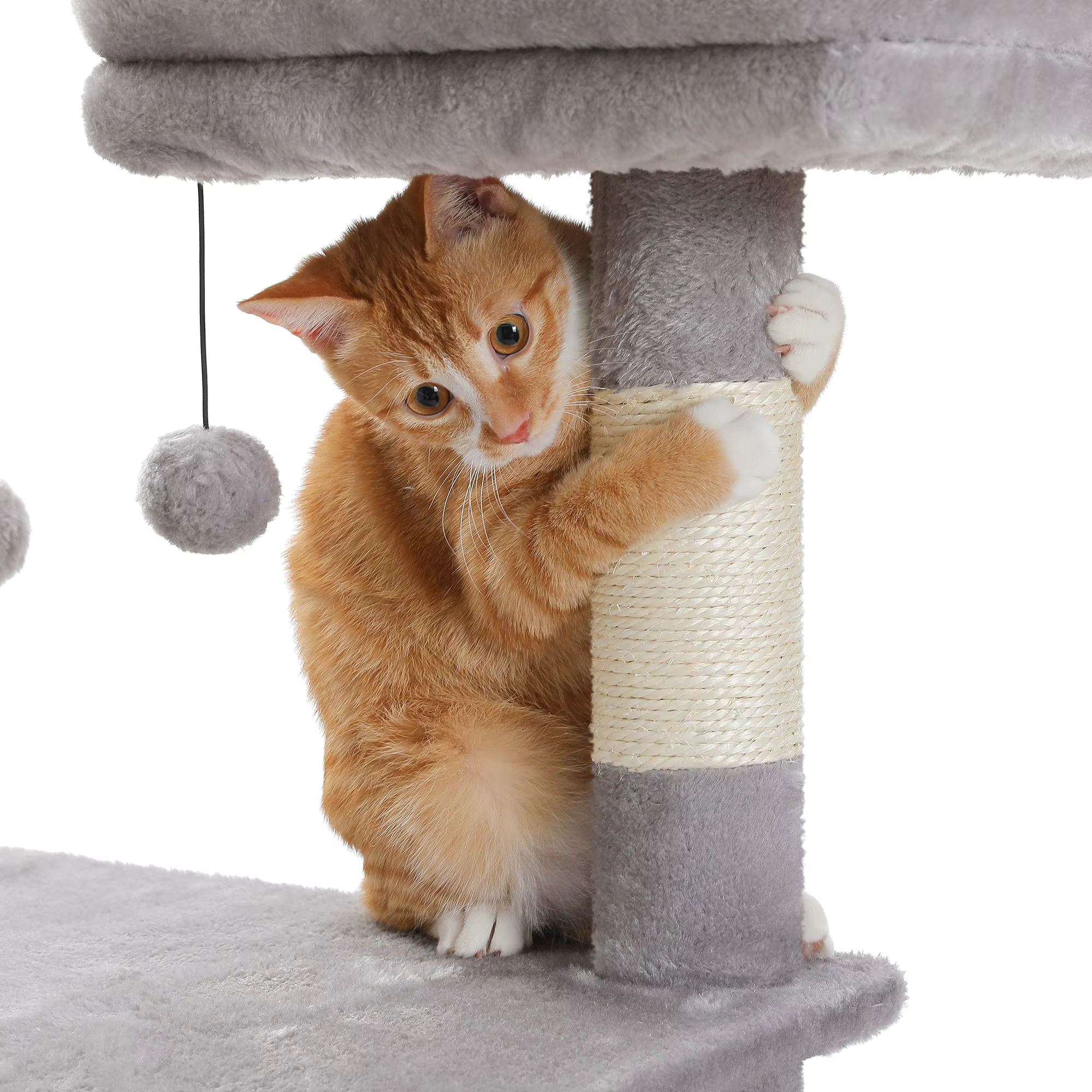 Grand condo pour chats d'intérieur, arbre à chat avec hamac, griffoirs, 2 perchoirs