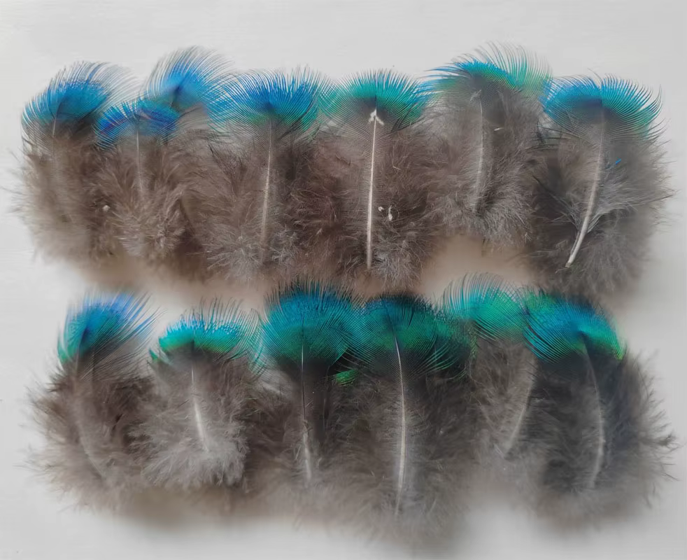 50 pièces/lot de plumes de paon bleues et vertes de 4 à 7 cm de long, petites plumes de paon pour l'