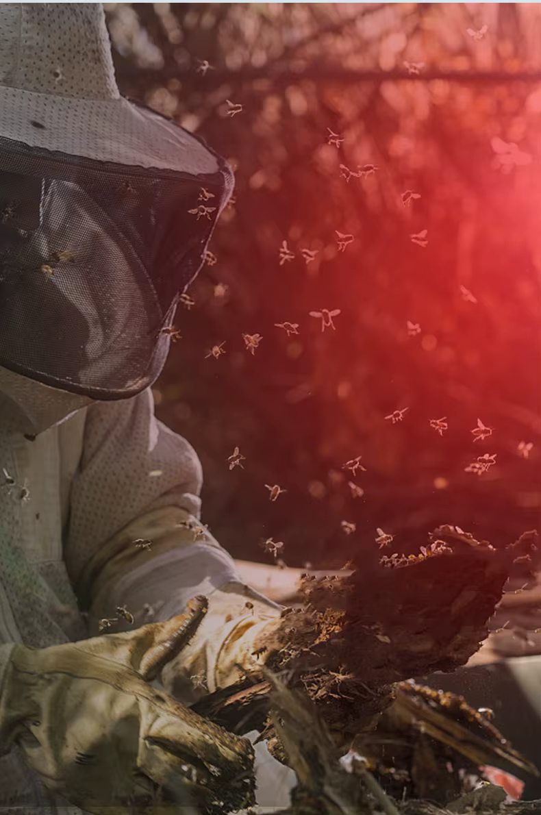 Zoom lumière rouge lampe de poche Mini chasse abeilles pêche vaisseaux sanguins astronomie observer 