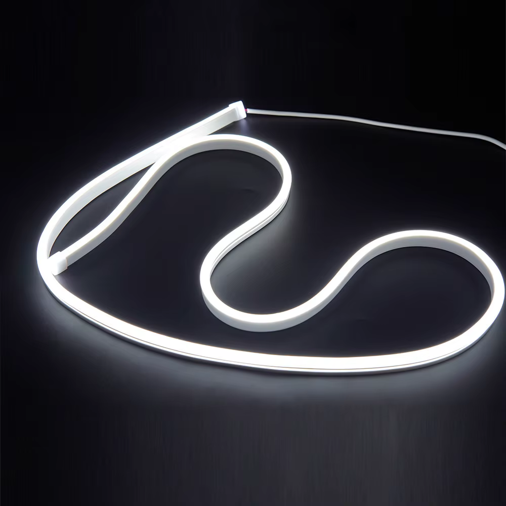 Bande lumineuse néon LED SMD 2835 120LED s/M, 5m 10m 15m 20m 12V, étanche IP67, bricolage, décoratio