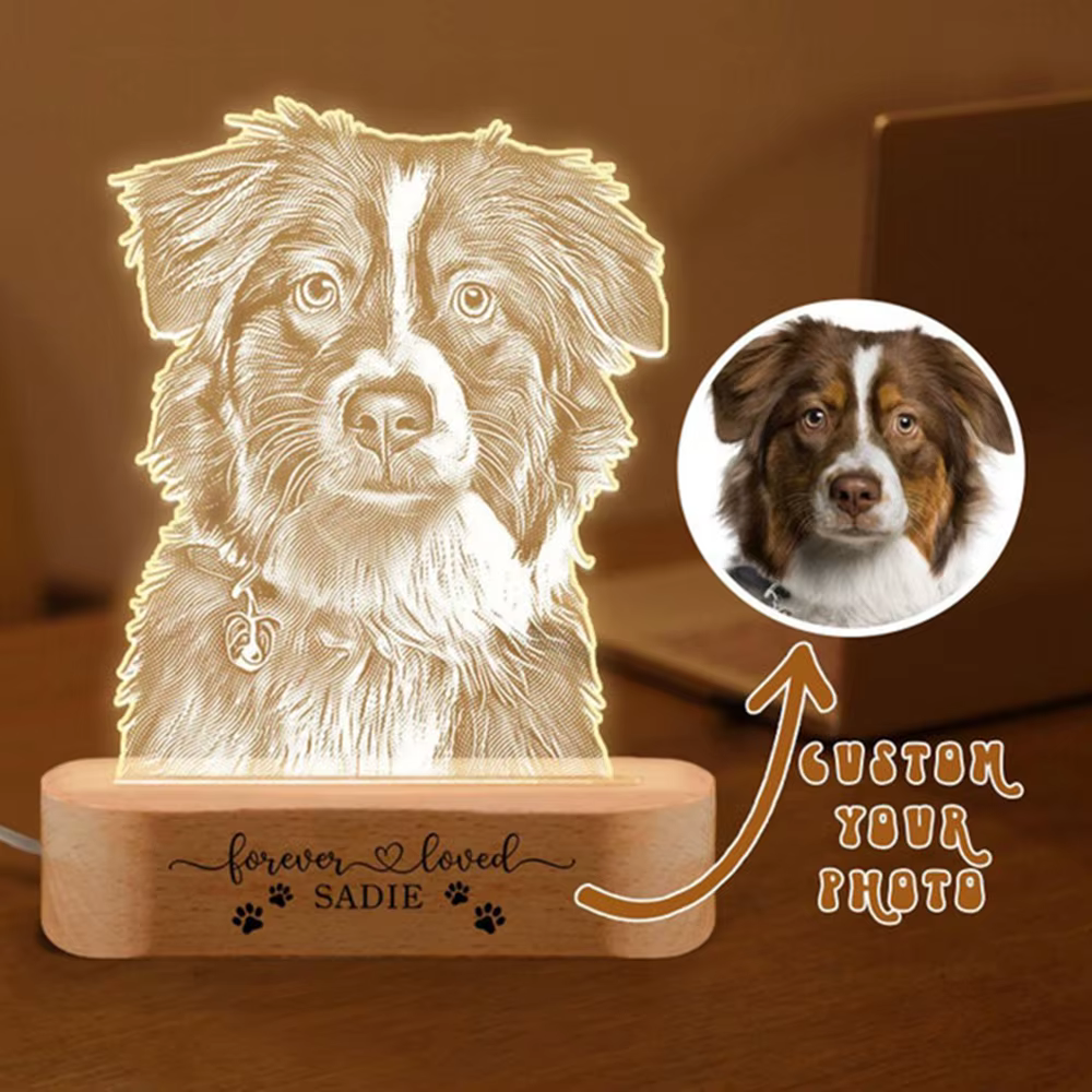 Lampe de nuit personnalisée avec photo d'animal de compagnie, lampe en acrylique sur mesure, enregis